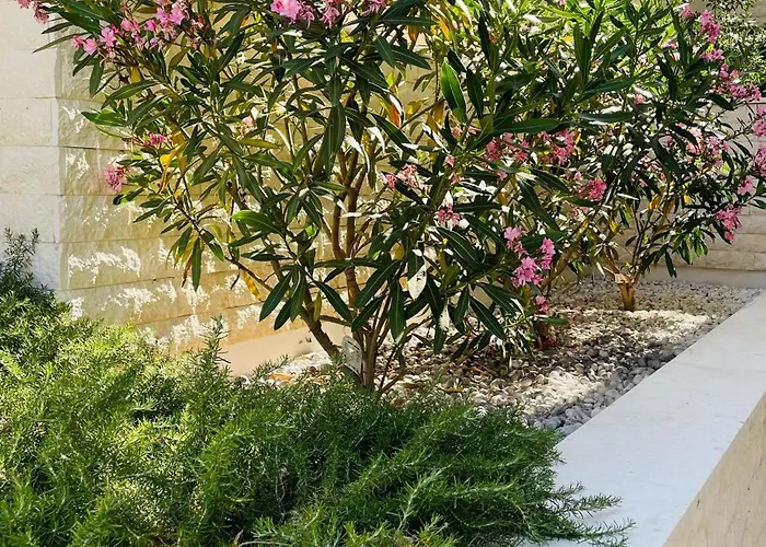 Antea Apartment Klek